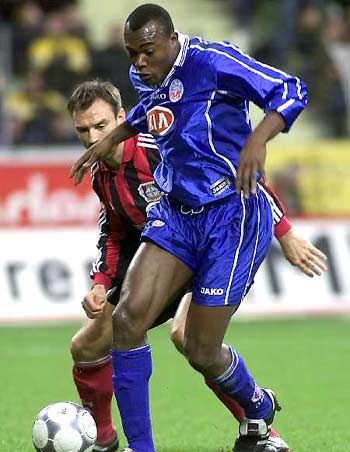 样性和观看 样性和观看